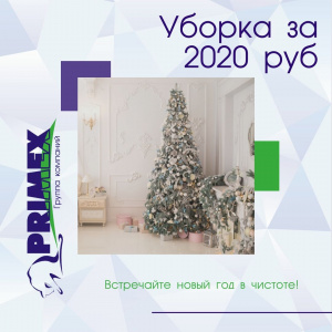 Чистый новый год за 2020 рублей!